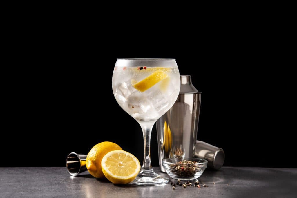 gin vs vodka