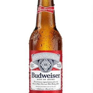 Budweiser Lager Beer bottle with brown glass, red and white label, and condensation droplets